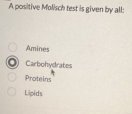 molisch test for lipids