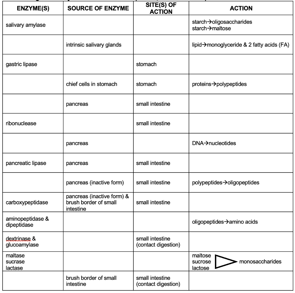 Question: ENZYME(S) SOURCE OF ENZYME SITE(S) OF ACTION ACTION Salivary ...