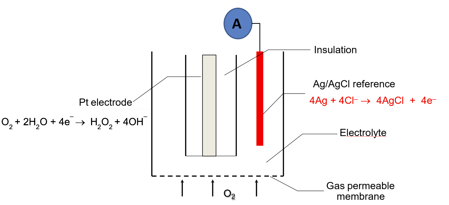 Solved 6. A Clark oxygen electrode see diagram below is Chegg