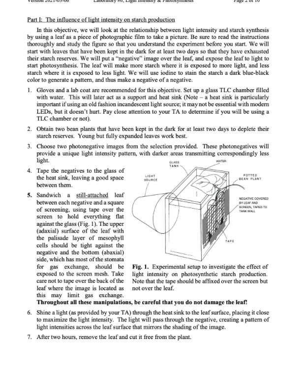 Solved Part I: The influence of light intensity on starch | Chegg.com