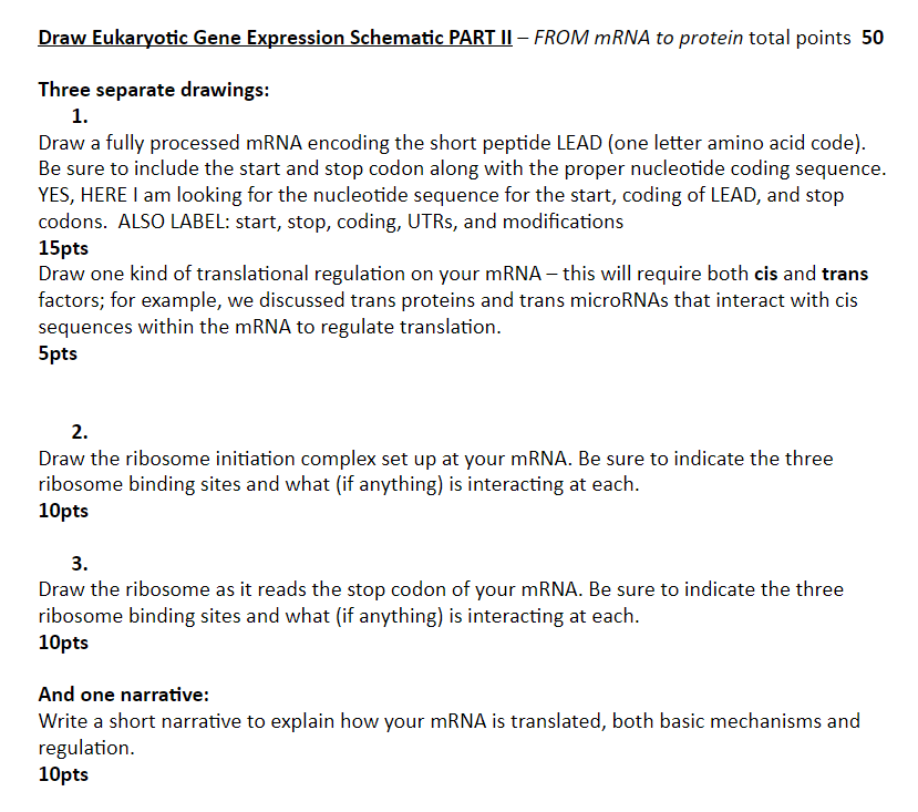 Solved Draw Eukaryotic Gene Expression Schematic PART II – | Chegg.com