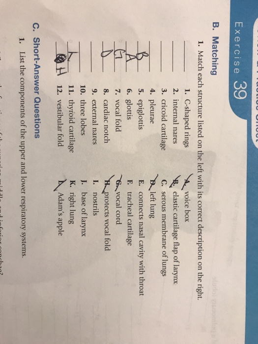 Solved Exercise 39 B. Matching 1. Match Each Structure | Chegg.com