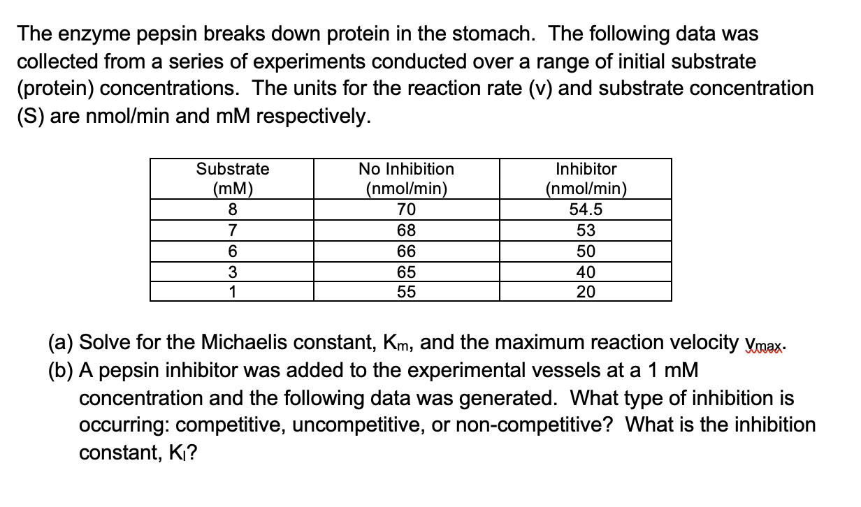 Solved The enzyme pepsin breaks down protein in the stomach.