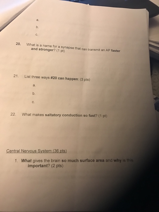solved-a-b-c-20-what-is-a-name-for-a-synapse-that-can-chegg