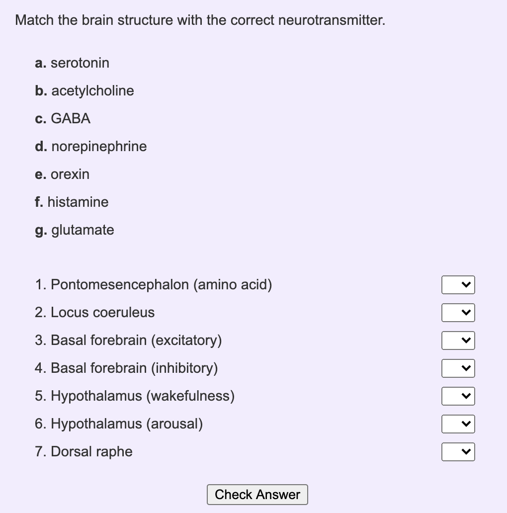 norepinephrine neurotransmitter function