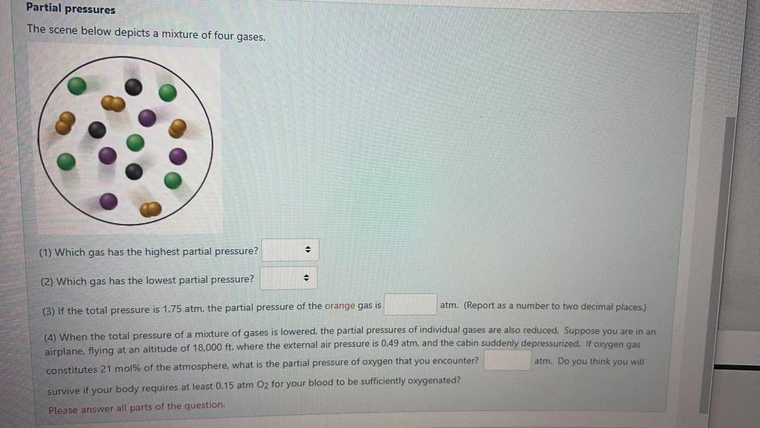 solved-partial-pressures-the-scene-below-depicts-a-mixture-chegg