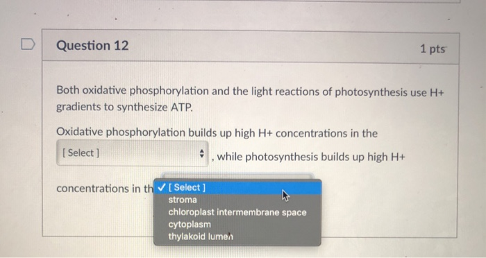 Solved 1 pts D Question 19 Which of the following key | Chegg.com