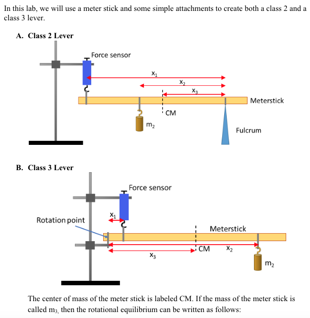 Solved In this lab, we will use a meter stick and some | Chegg.com