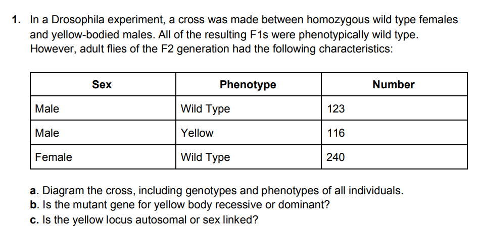 Solved 1. In A Drosophila Experiment, A Cross Was Made | Chegg.com