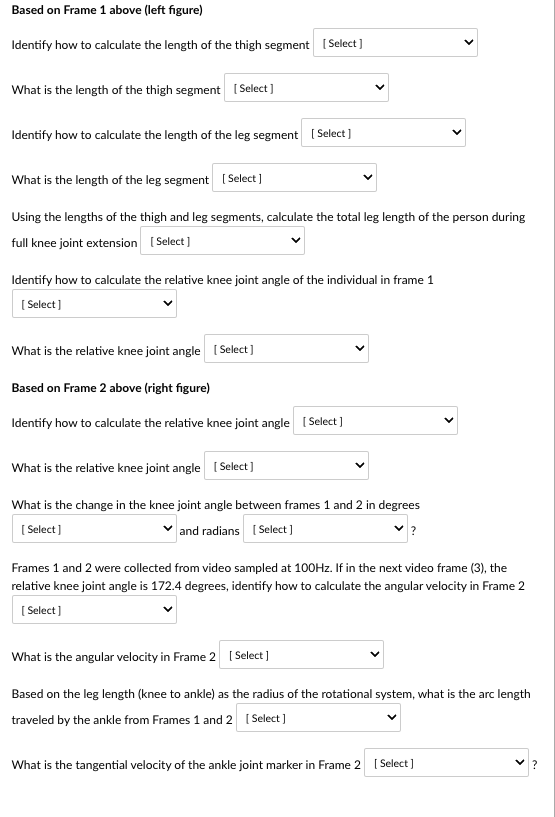 Solved What is the length of the thigh segment Identify how | Chegg.com
