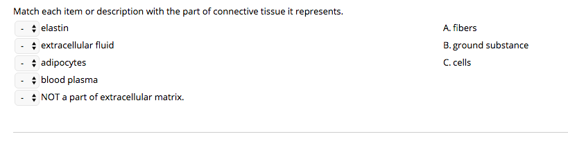 Solved Match each item or description with the part of | Chegg.com
