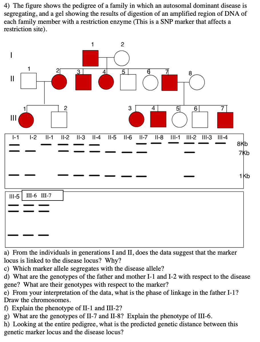 Solved 4) The figure shows the pedigree of a family in which | Chegg.com