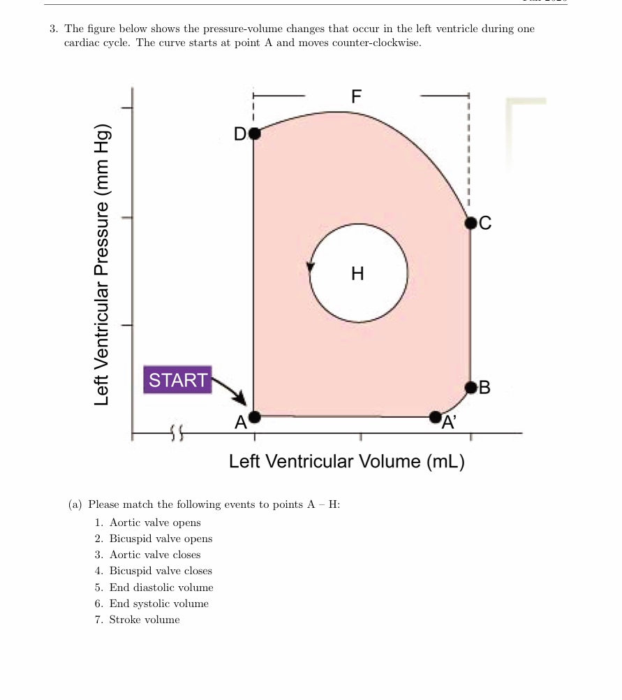 Solved 3. The figure below shows the pressurevolume changes