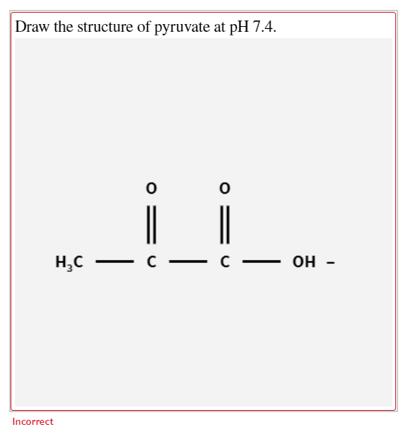 draw the structure of pyruvate at ph 7.4. metalwallartphotography