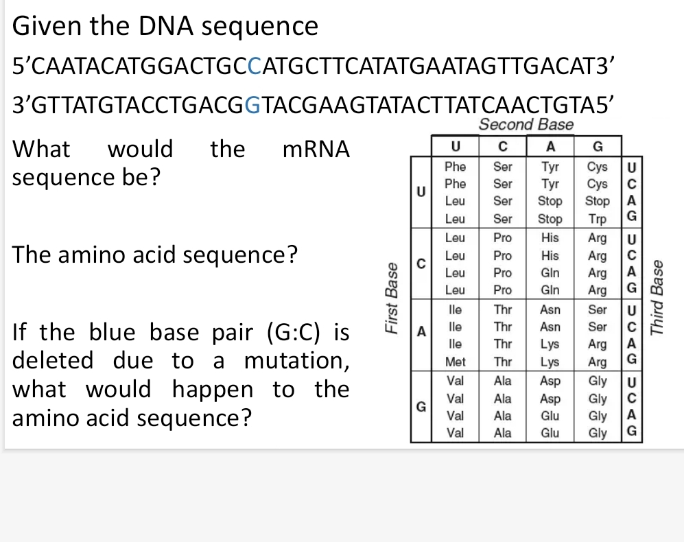 Solved Given the DNA sequence  Chegg.com