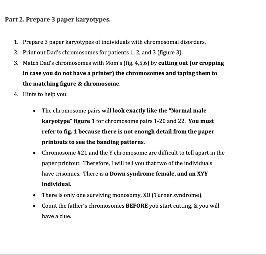 Part 2. Prepare 3 paper karyotypes. 1. Prepare 3 | Chegg.com