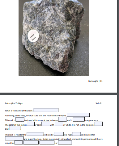 Solved 10 What is the name of this rock? According to the | Chegg.com