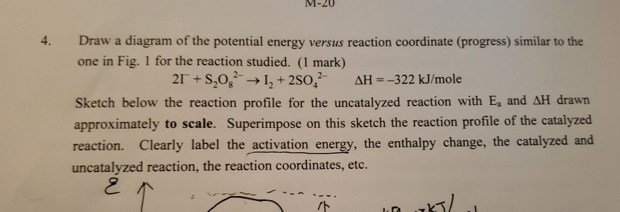 Solved M-20 4. Draw a diagram of the potential energy versus | Chegg.com