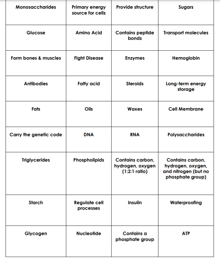 Structure And Function Of Carbohydrates Lipids Proteins Nucleic Acids ...