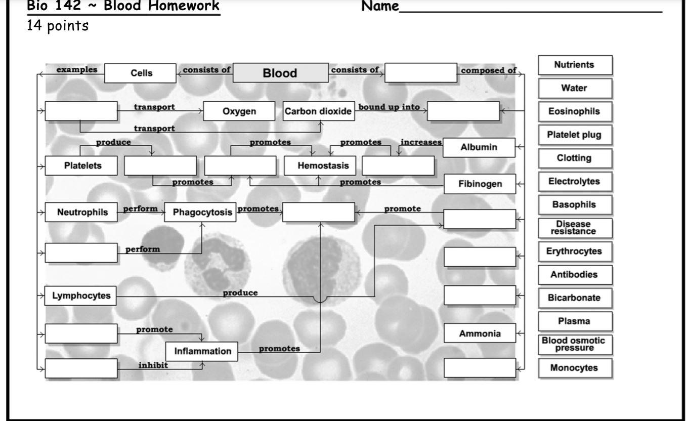 Solved Bio 142 ~ Blood Homework Name 14 points Nutrients | Chegg.com