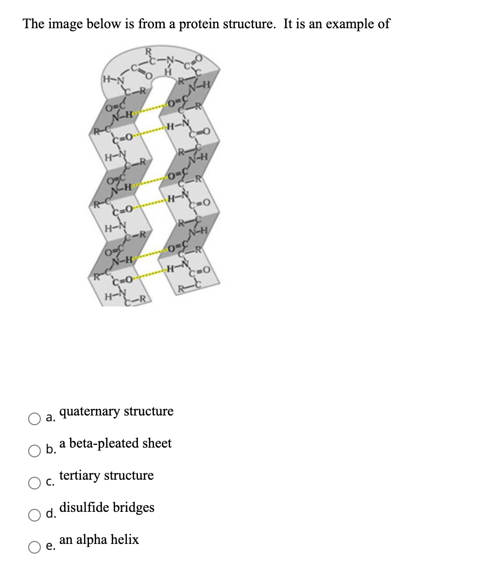 Solved The Image Below Is From A Protein Structure It Is Chegg Com