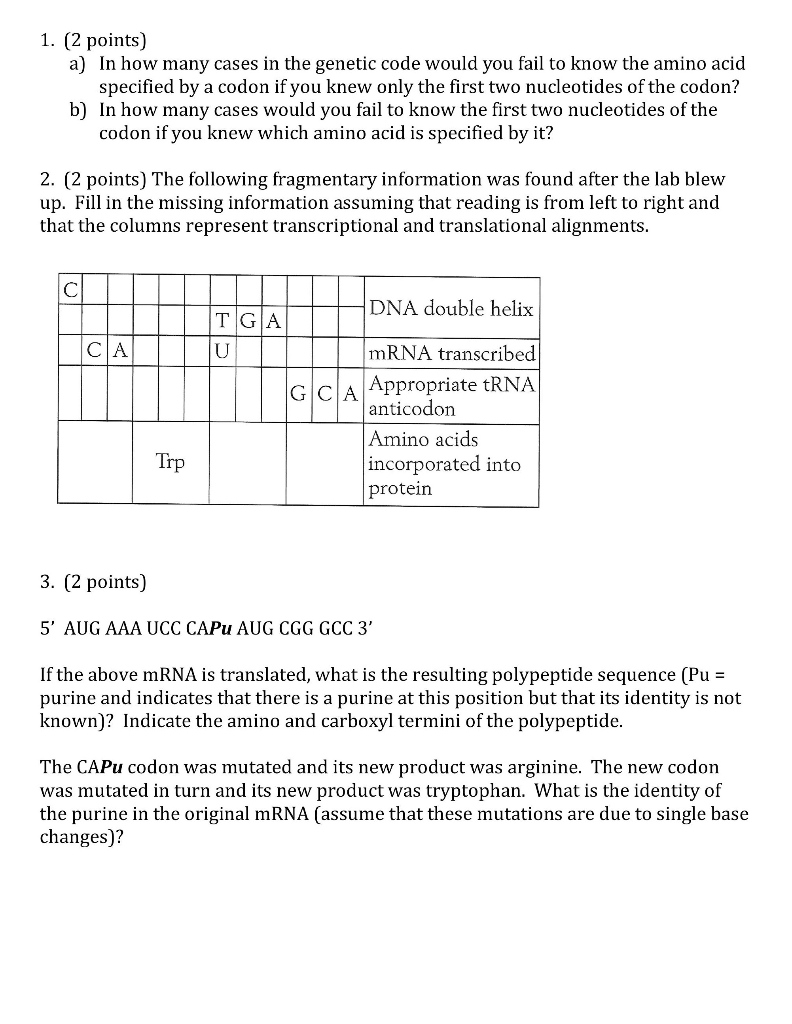 what is a codon