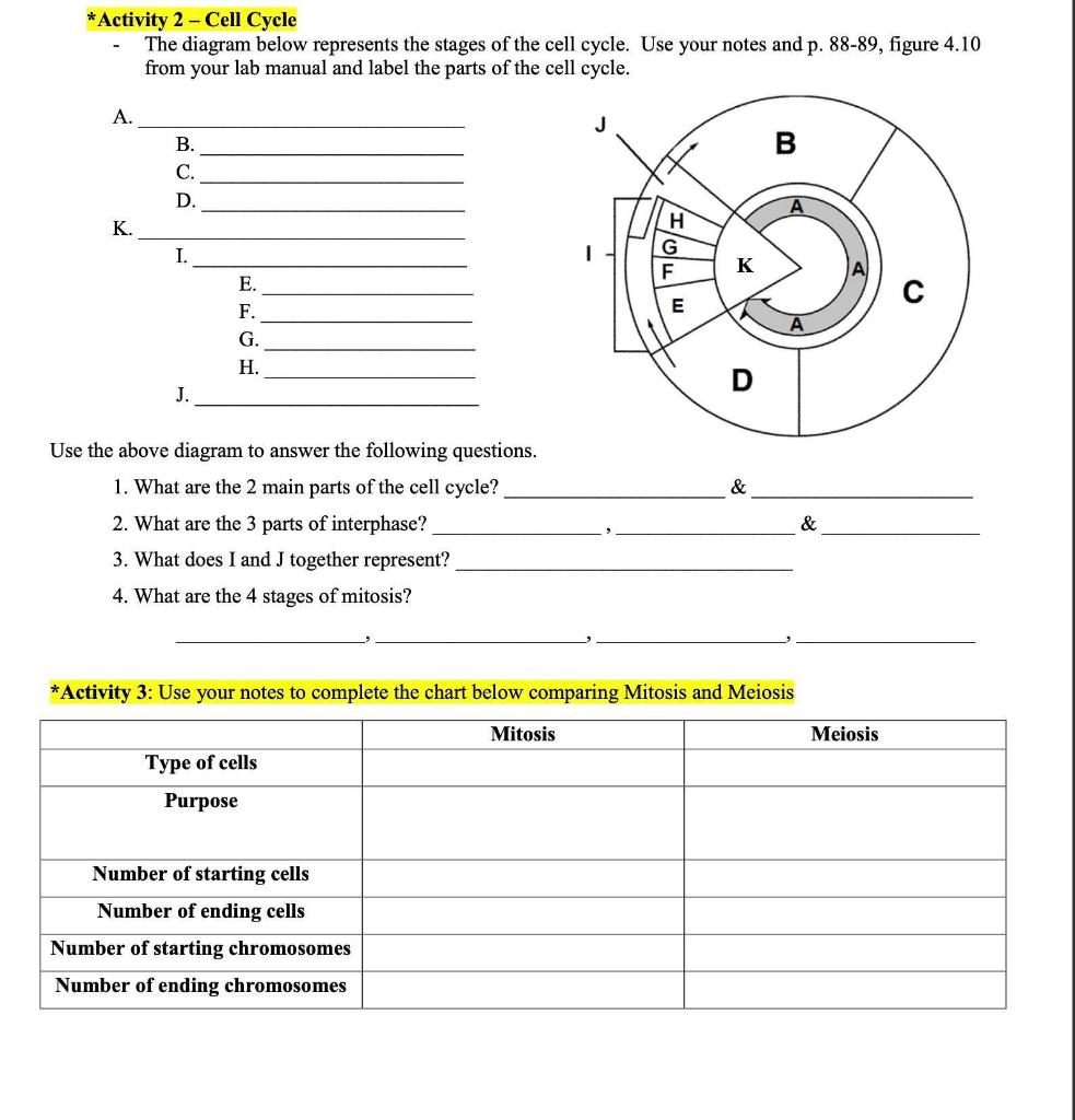 cell cycle diagram