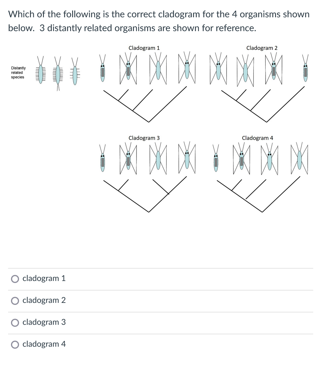 Solved Which Of The Following Is The Correct Cladogram For | Chegg.com