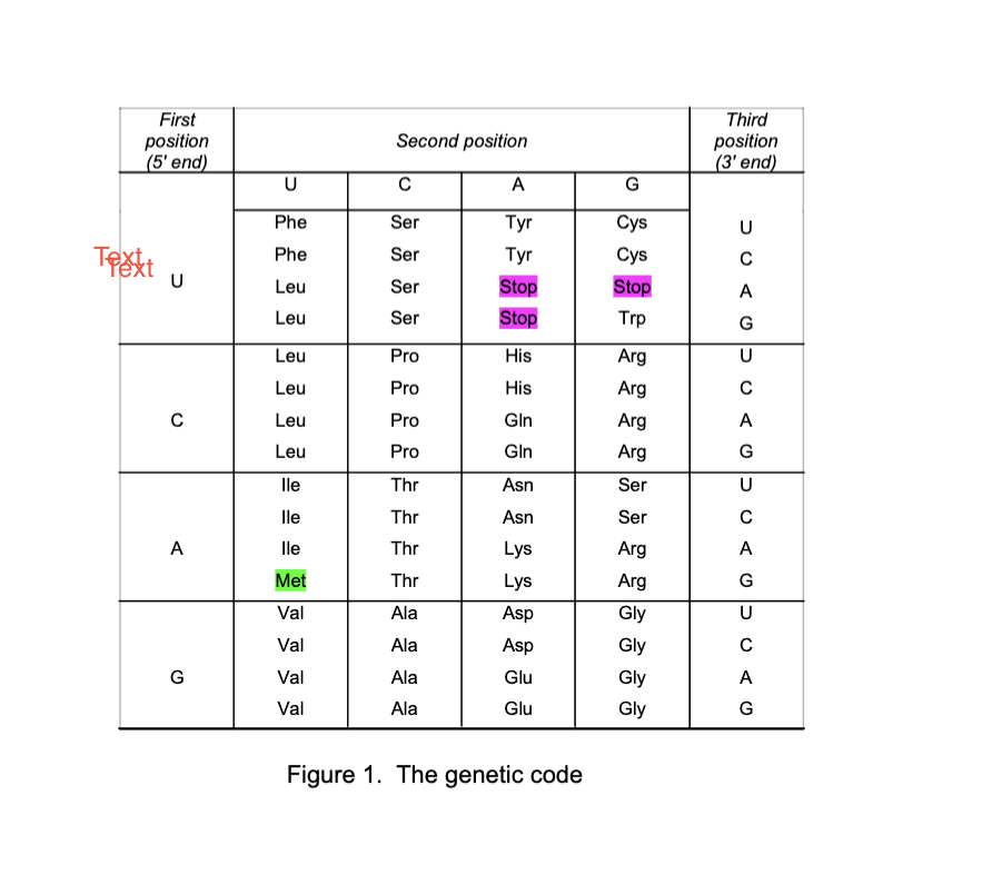 Solved The Genetic code is given on the last page. Translate | Chegg.com