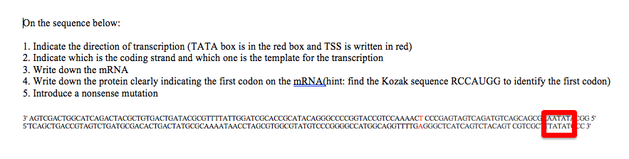 Solved Please note: the 2 strands might not look perfectly | Chegg.com