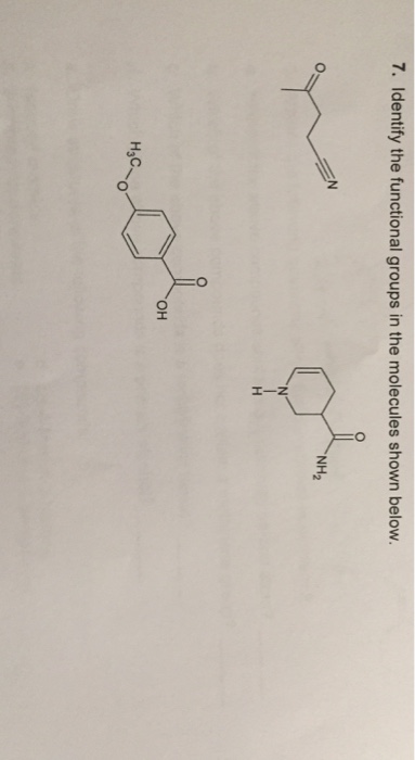 Solved Identify the functional groups in the molecules shown | Chegg.com