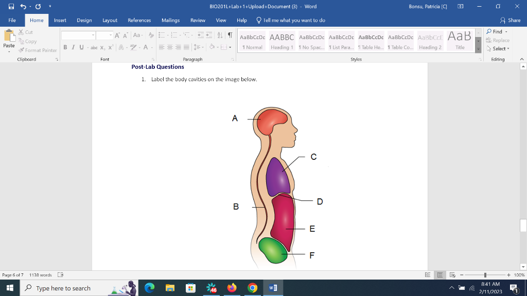 Solved 1. Label the body cavities on the image below. | Chegg.com