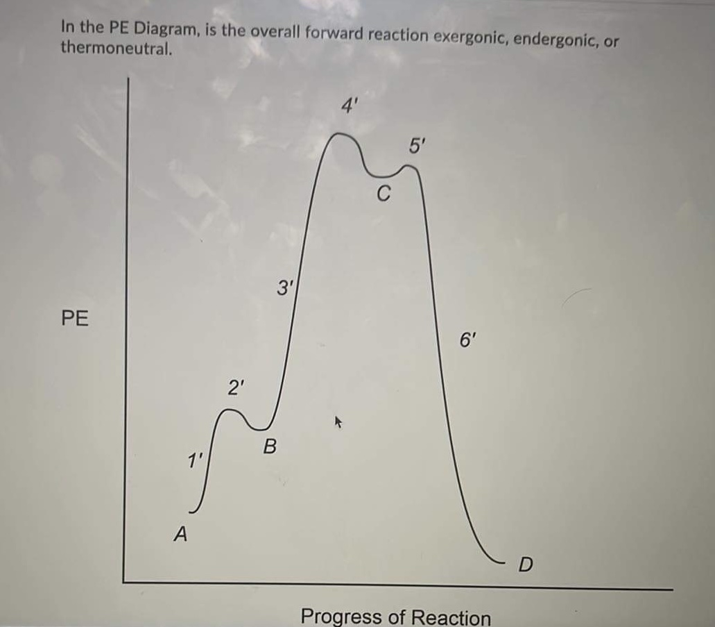 Solved In the PE Diagram, is the overall forward reaction | Chegg.com