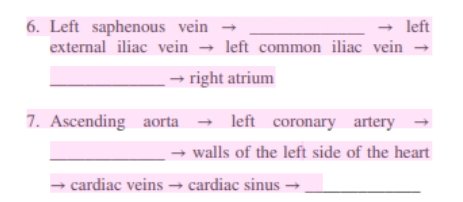 Solved TPACE A DAOP OF BLOOD Directions: Refer to Figs. 18.6 | Chegg.com