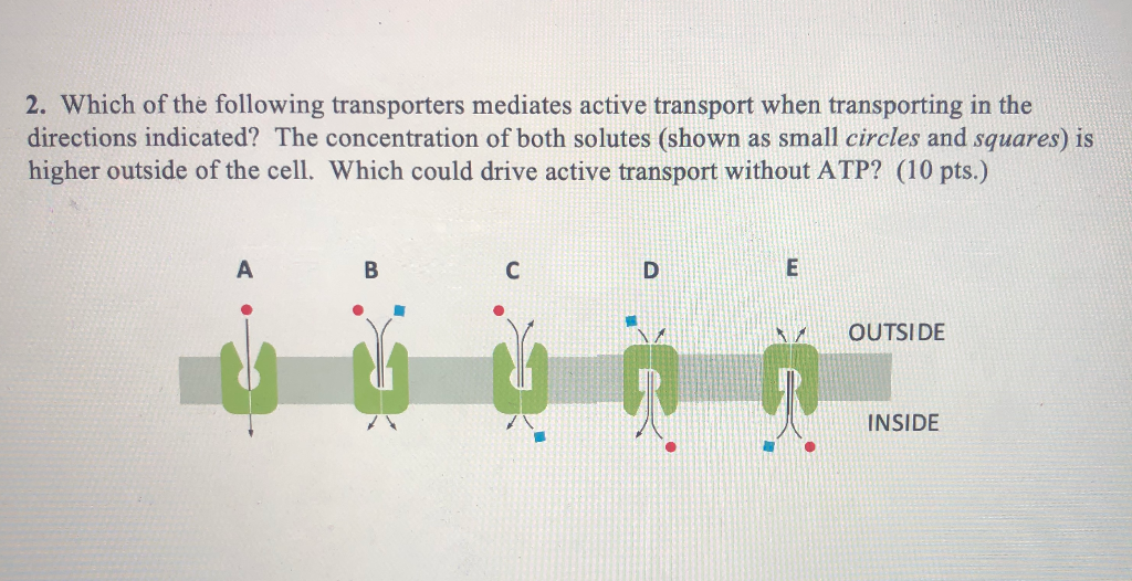 Solved Which of the following transporters mediates active