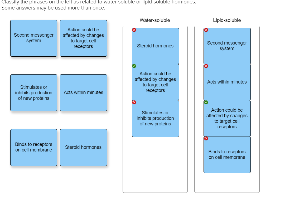 solved-classify-the-phrases-on-the-left-as-related-to-chegg