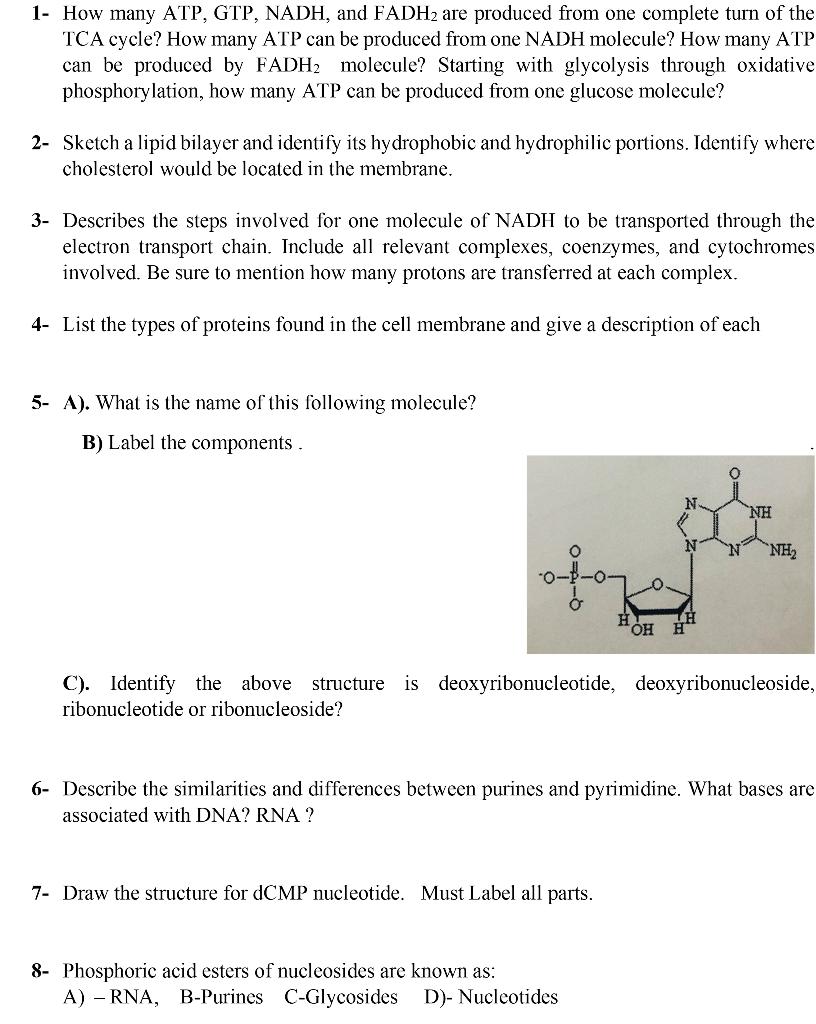 Solved 1 How many ATP, GTP, NADH, and FADH2 are produced
