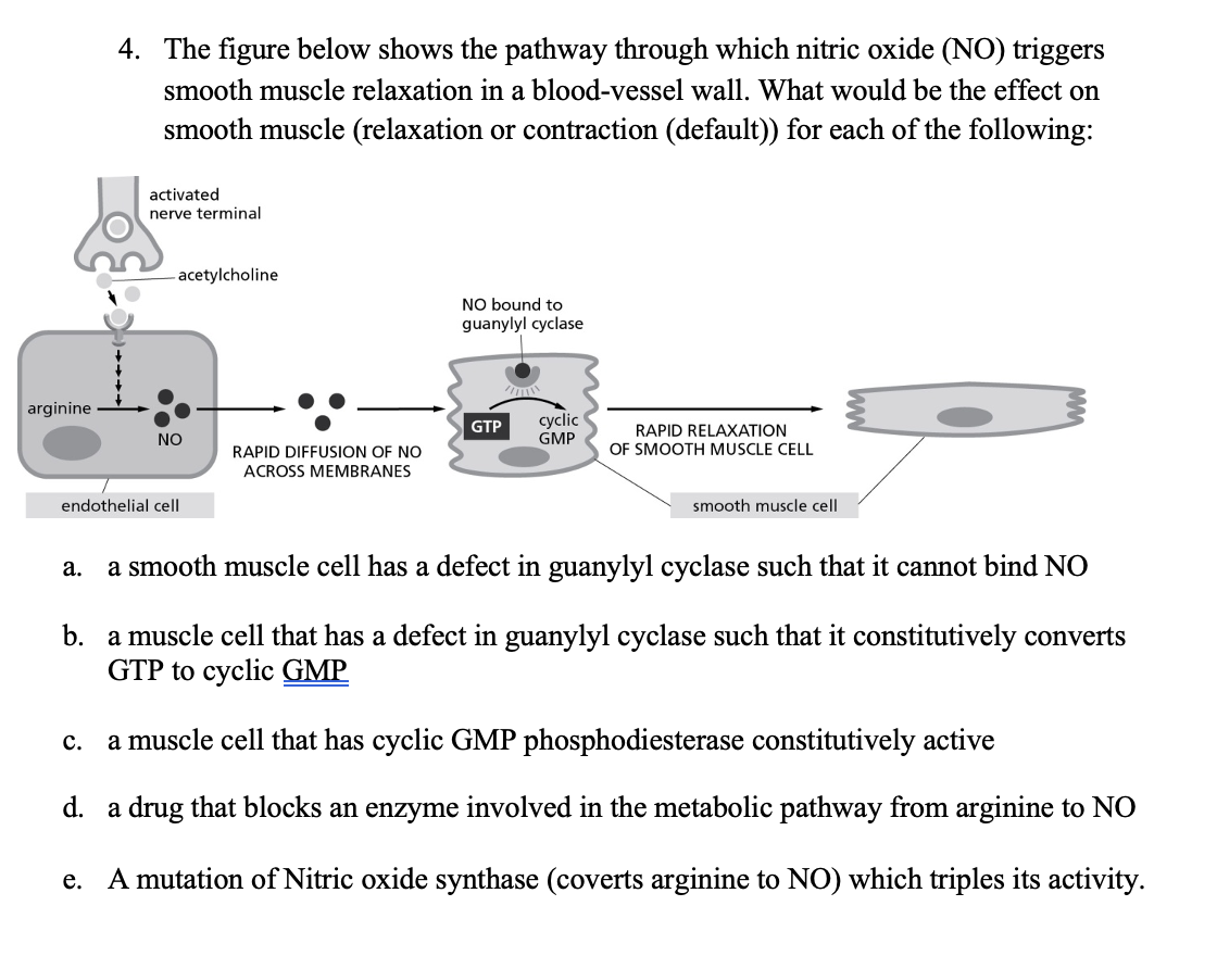 Solved 4. The figure below shows the pathway through which | Chegg.com