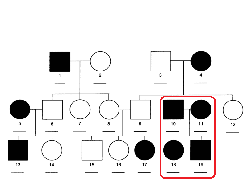 Solved The following is a pedigree of an autosomal recessive | Chegg.com