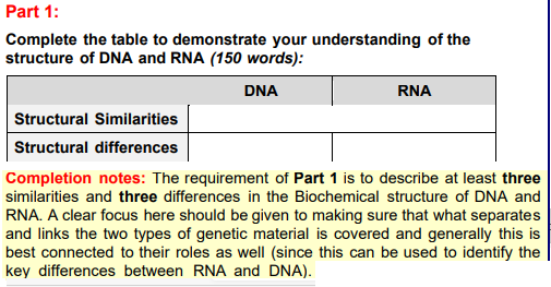 dna and rna similarities and differences