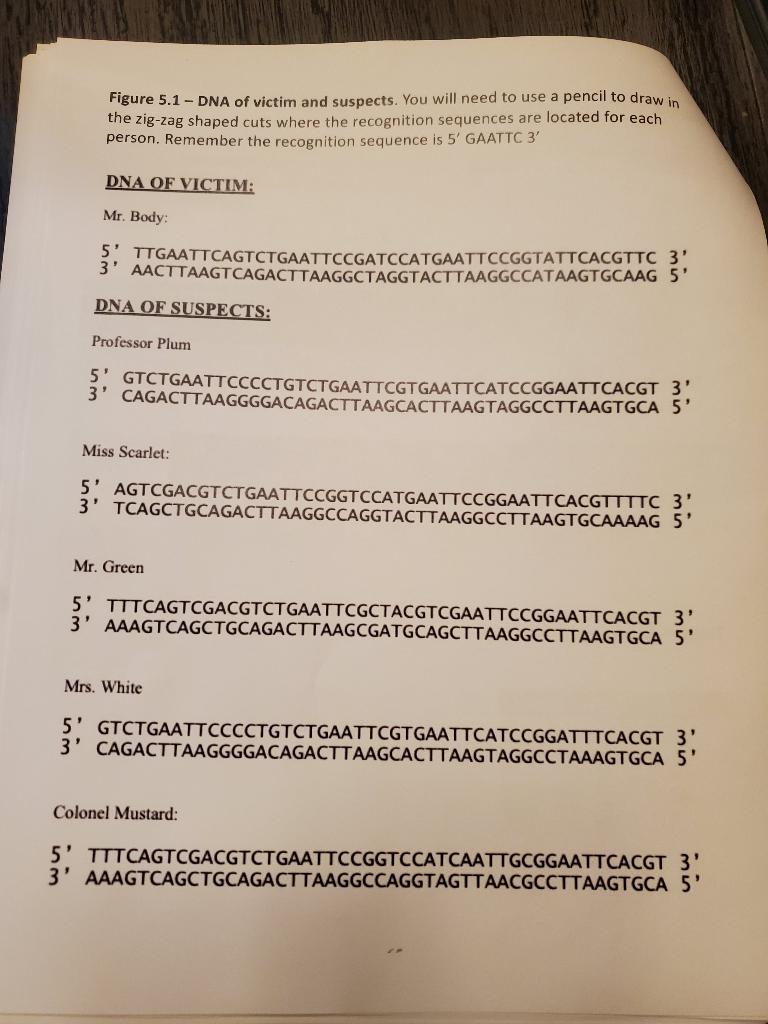 Solved Figure 5.1 - DNA Of Victim And Suspects. You Will | Chegg.com