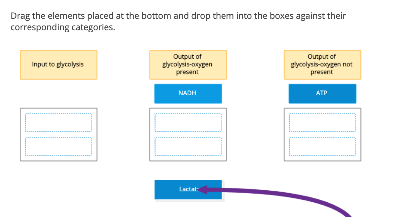 Solved Drag the elements placed at the bottom and drop them