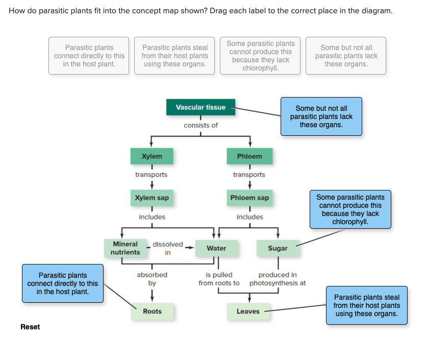 Concept Map Of Plants Solved How Do Parasitic Plants Fit Into The Concept Map | Chegg.com