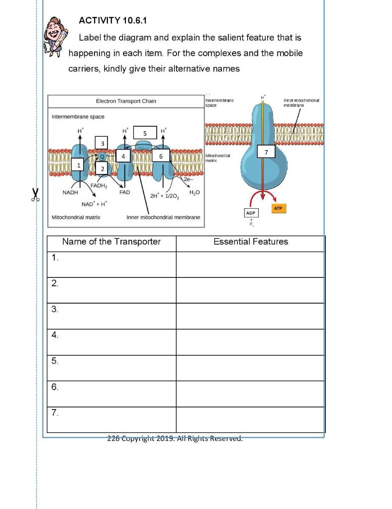 Solved label the diagram and explain the silent feature that | Chegg.com
