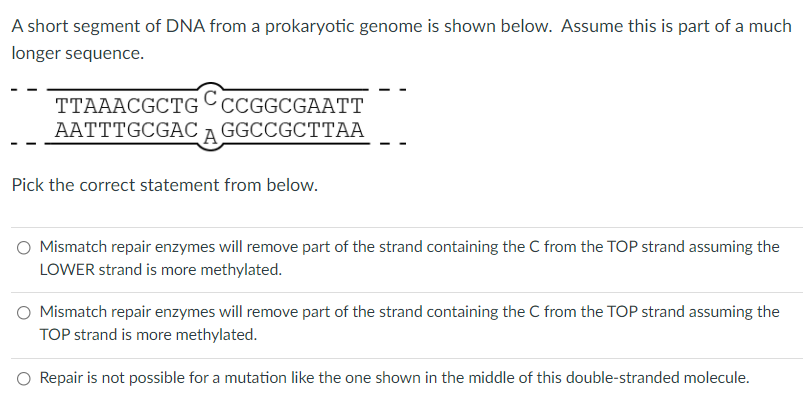 Solved A short segment of DNA from a prokaryotic genome is | Chegg.com
