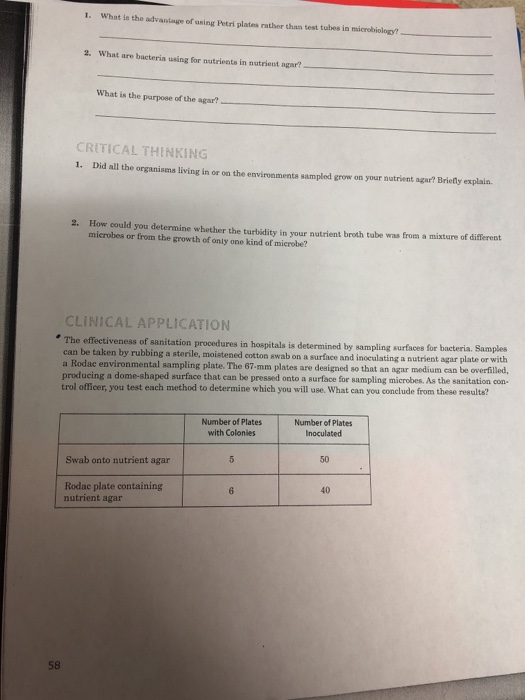 Solved 1. What is the advantage of using Petri plates rather