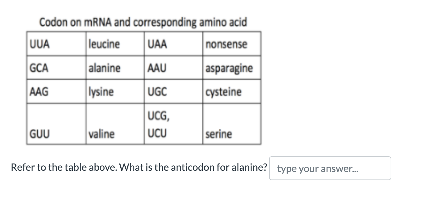 Codon on mRNA and corresponding amino acid Refer to | Chegg.com