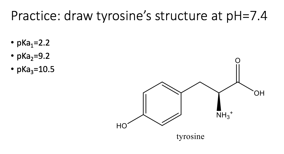 Tyrosine Structure At Ph 7