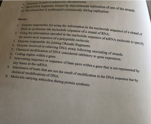 Solved T 7 6 10 Across: 1. Process of copying DNA during | Chegg.com