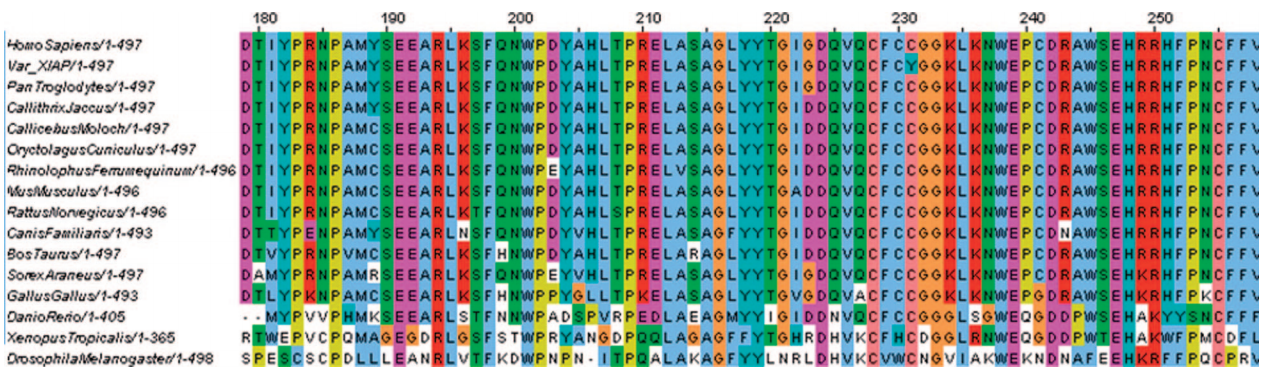 Solved The Researchers Thus Determined The Causal DNA | Chegg.com